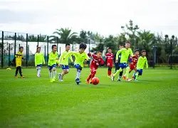 曼联赛季展,福斯特直言,不讳,大发彩票官网,dafa大发彩票官网,大发彩票官网在线娱乐平台