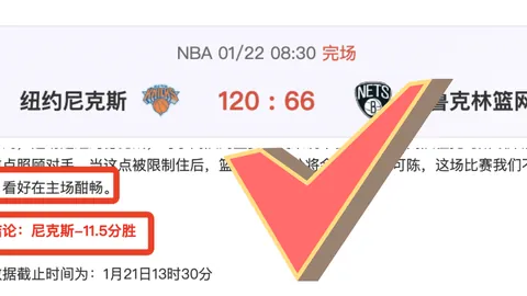 【NBA深度解析】揭秘战局精彩瞬间，胜负关键一击全收录！