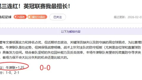 大乐透期号专家推荐：急流主场让球奥秘解析
